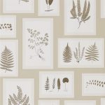 Wallpaper – Sanderson – Woodland Walk- Fern Gallery – Linen/Sepia