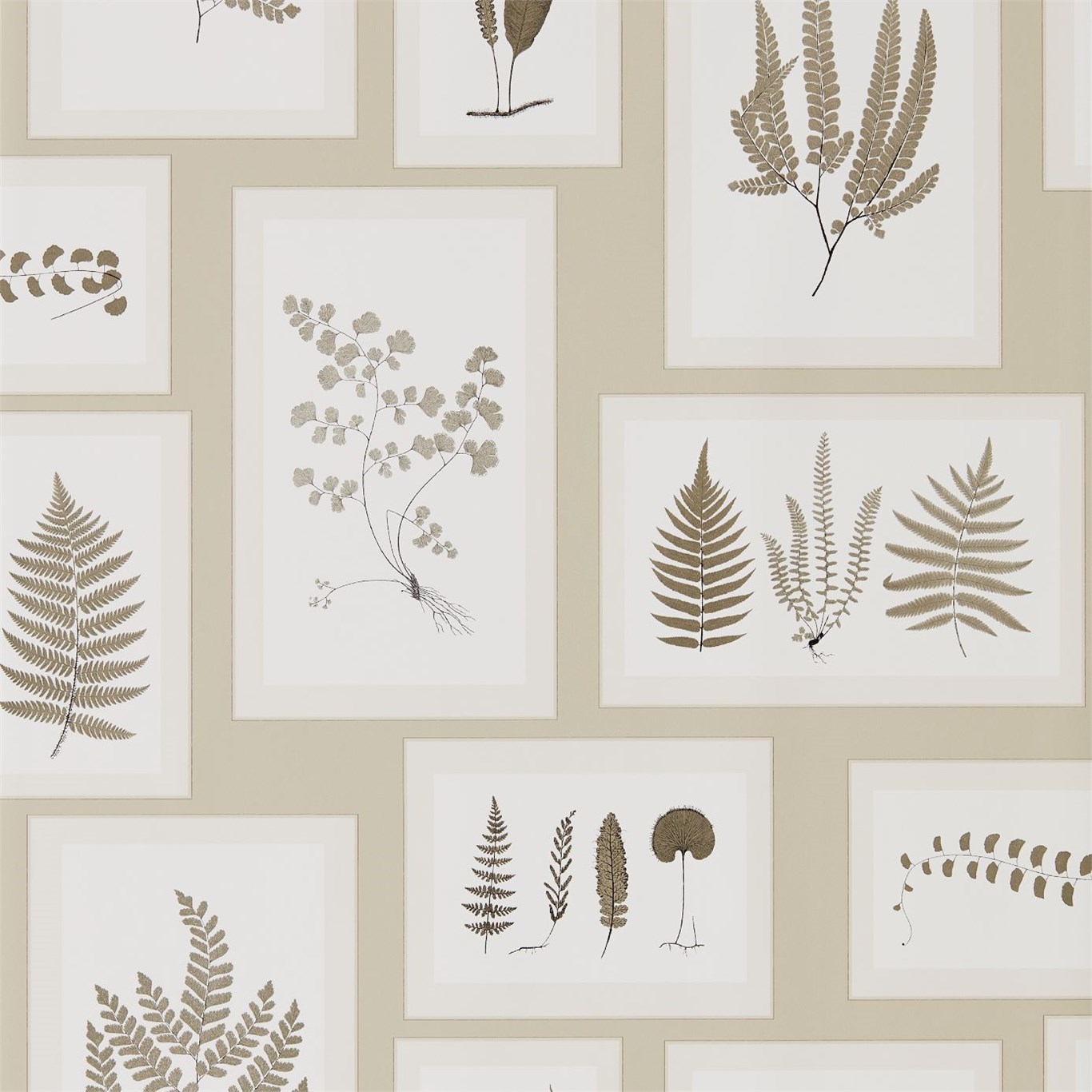 Tapet - Sanderson Woodland Walk Wallpapers Fern Gallery Linen/Sepia