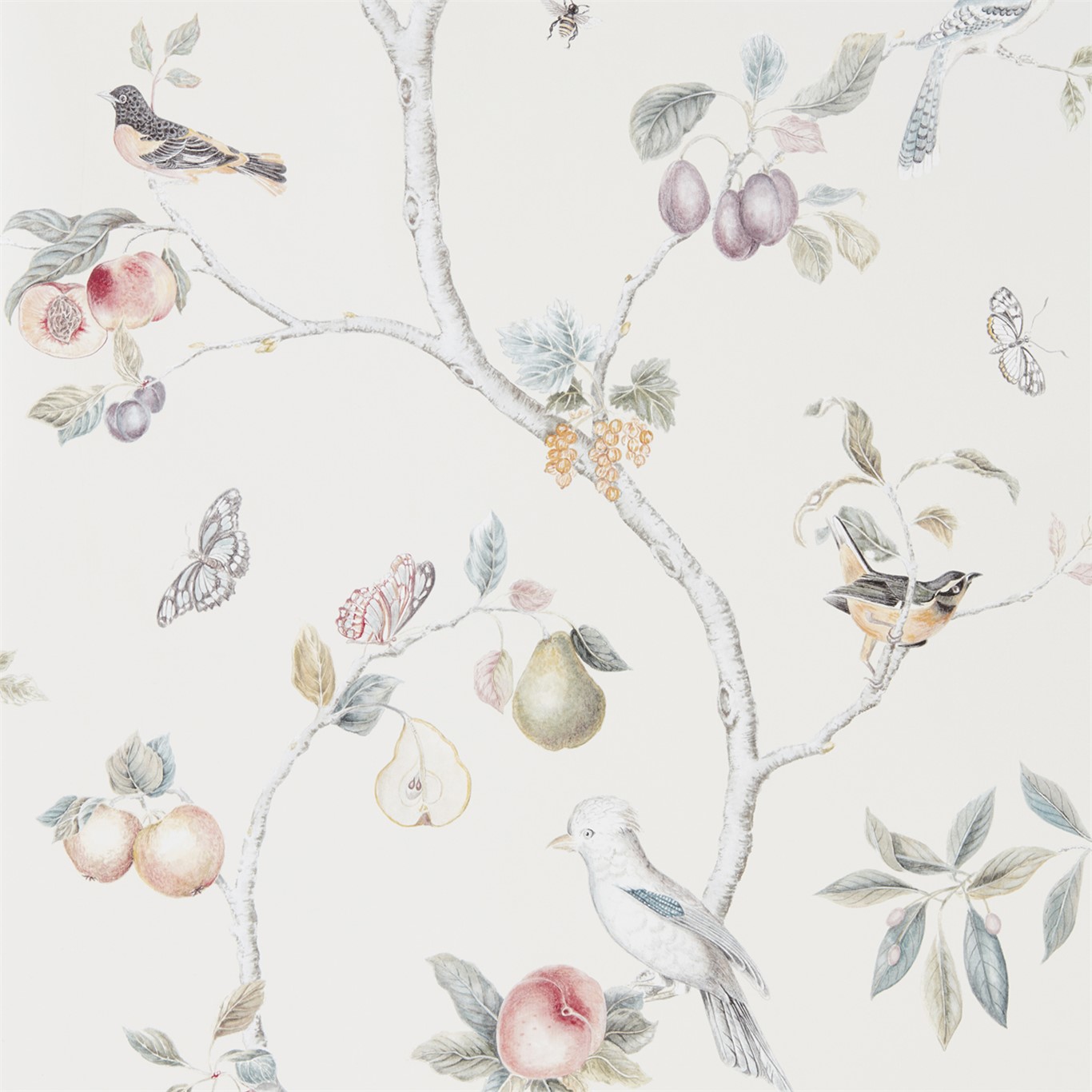 Wallpaper - Sanderson Art of the Garden Fruit Aviary Cream/Multi