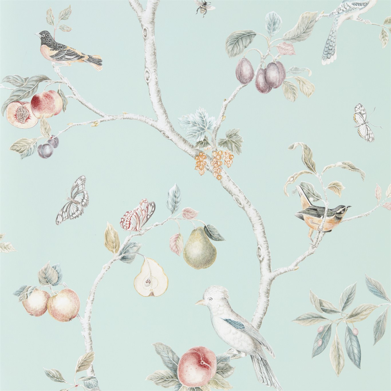 Wallpaper - Sanderson Art of the Garden Fruit Aviary Duck Egg/Multi