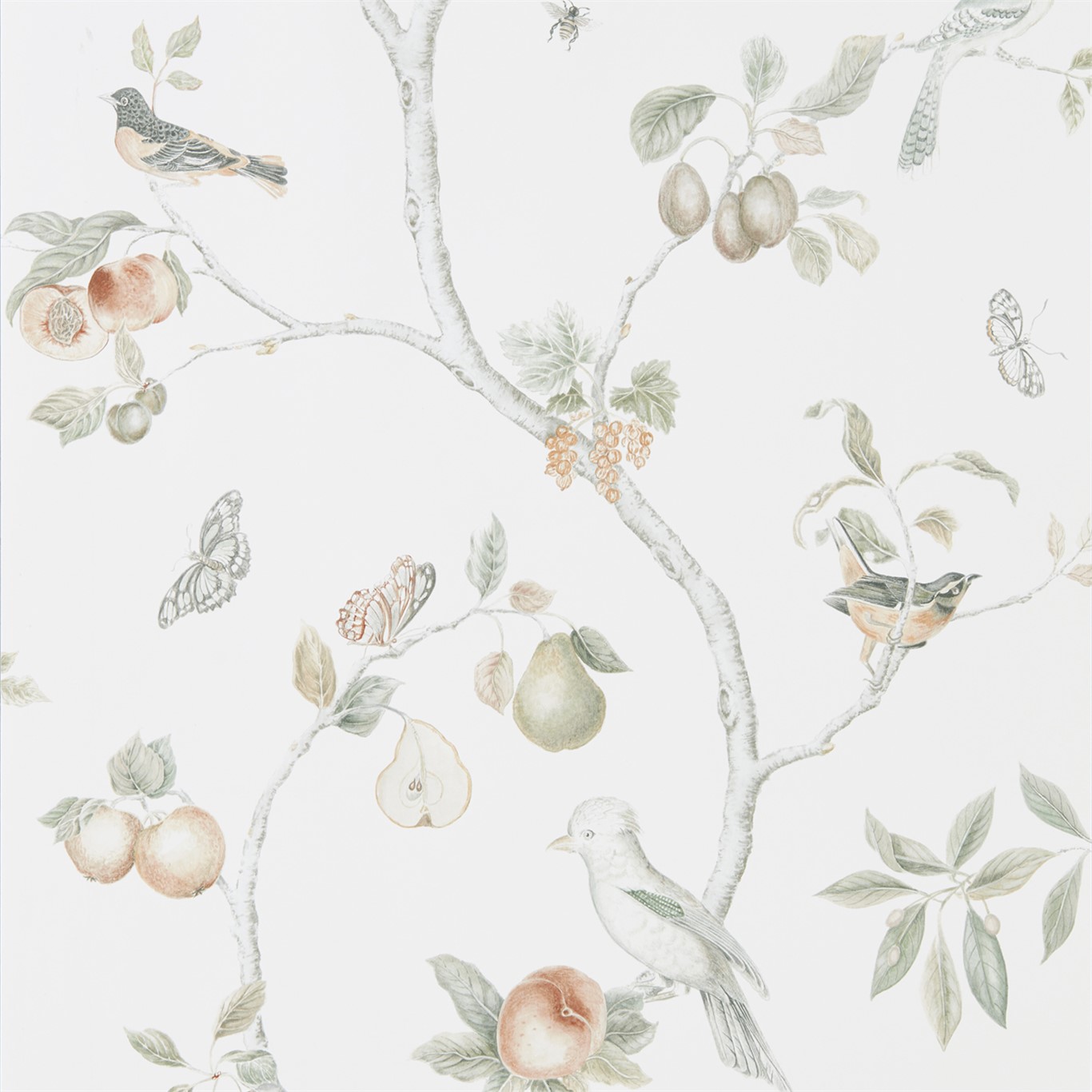 Wallpaper - Sanderson Art of the Garden Fruit Aviary Ivory/Mineral