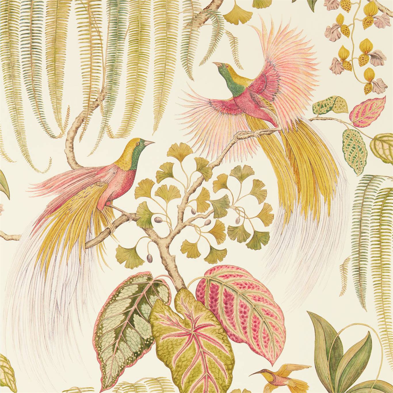 Wallpaper - Sanderson Glasshouse Bird of Paradise Olive