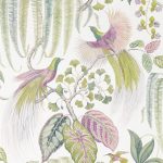 Tapet-Sanderson-Glasshouse-Bird-of-Paradise-Orchid-1-1