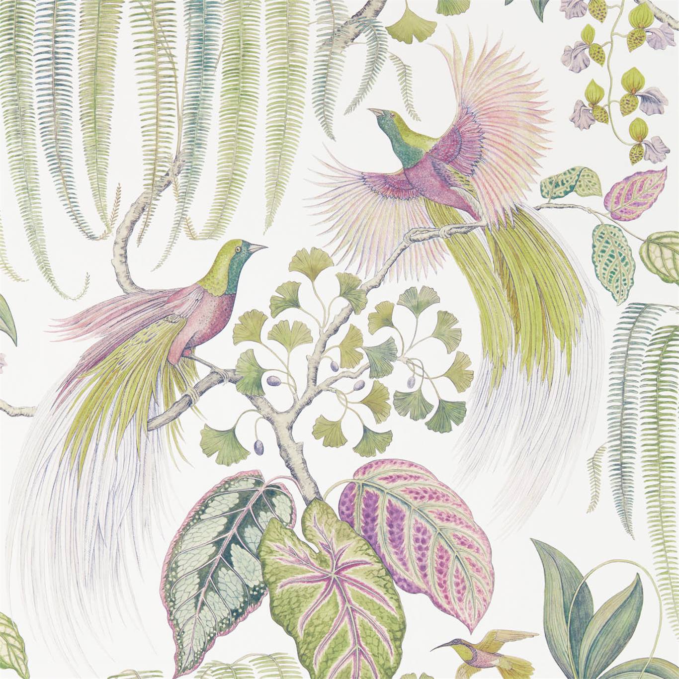 Tapet - Sanderson Glasshouse Bird of Paradise Orchid