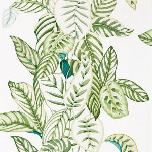 Wallpaper - Sanderson Glasshouse Calathea Botanical Green