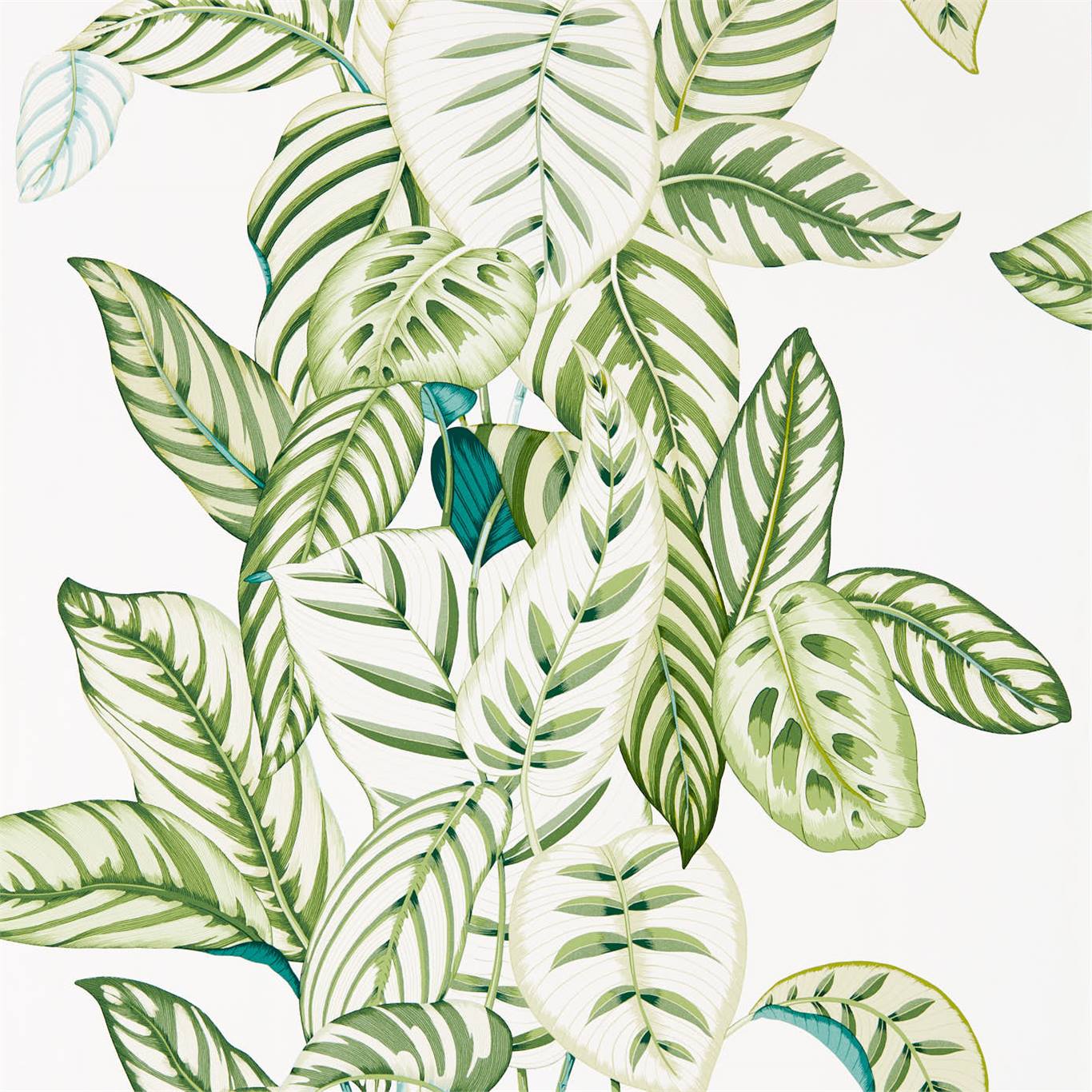 Tapet - Sanderson Glasshouse Calathea Botanical Green