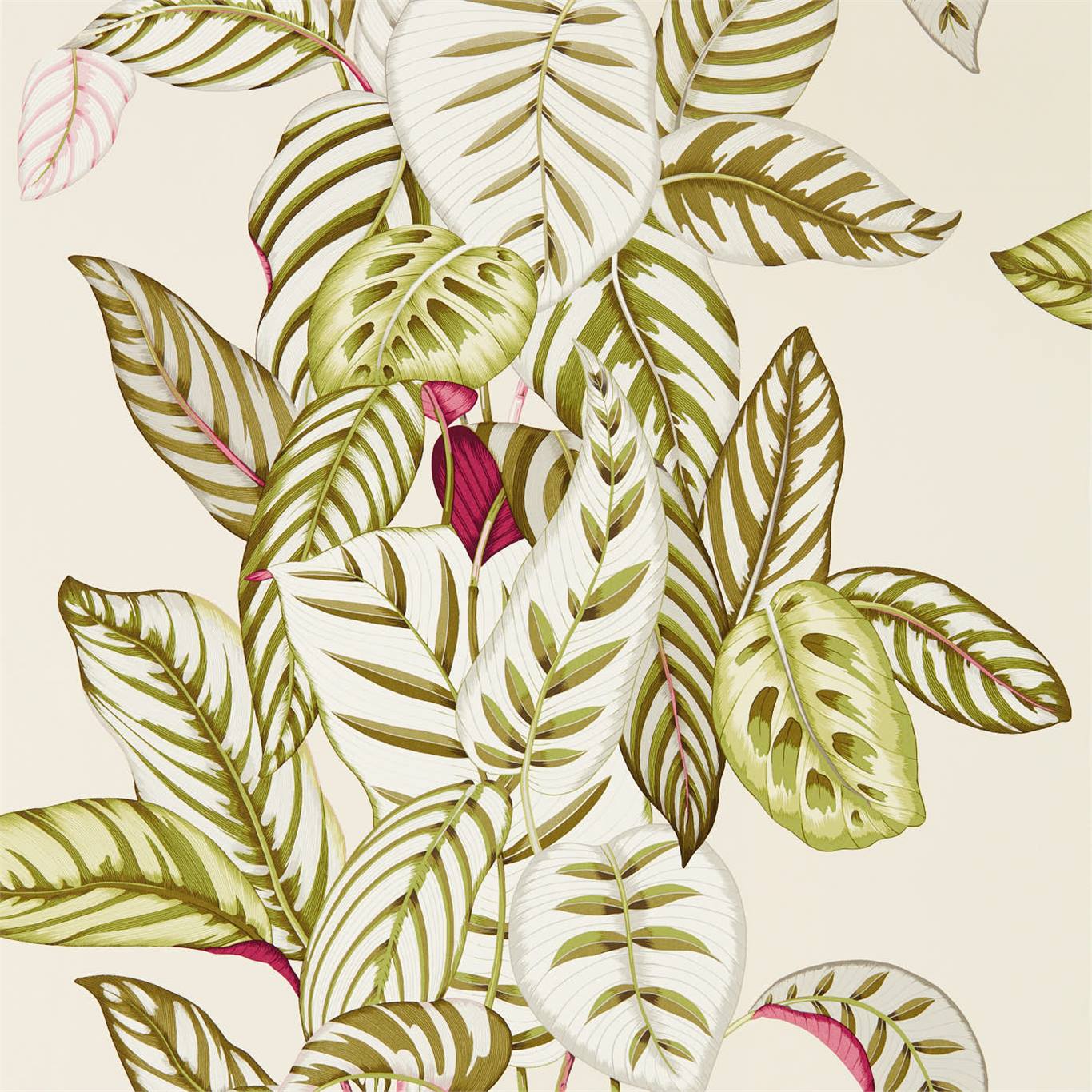 Wallpaper - Sanderson Glasshouse Calathea Olive