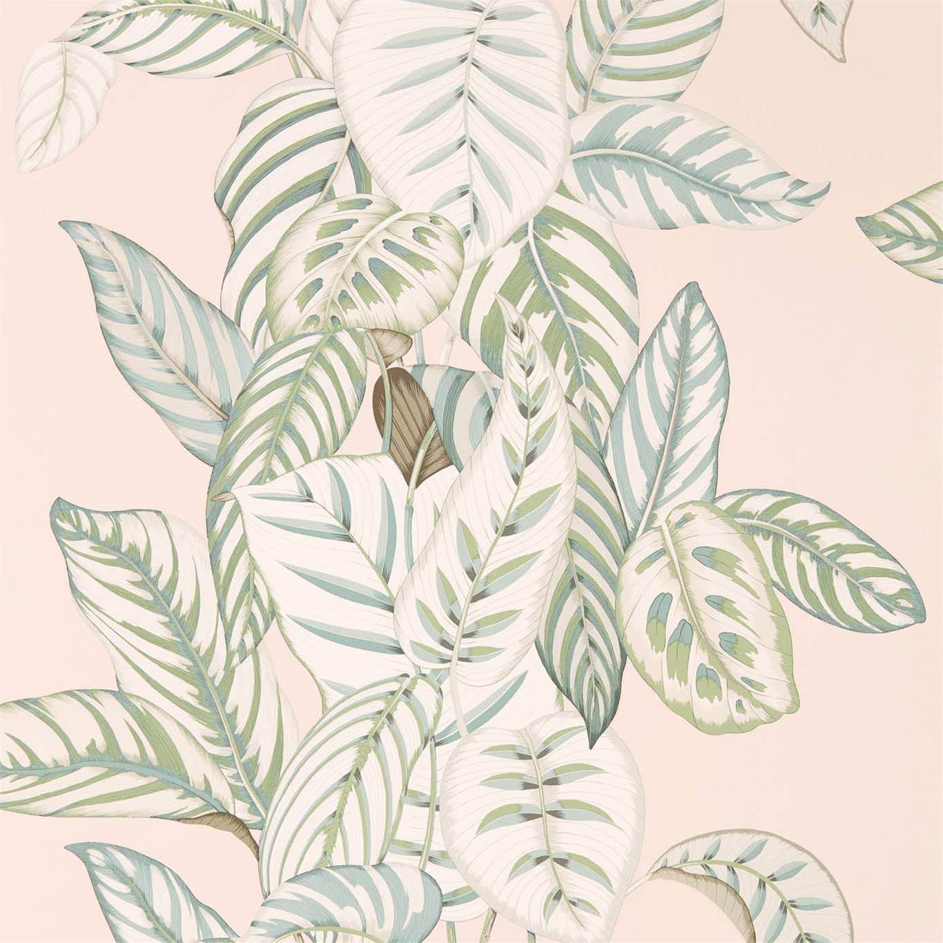 Wallpaper - Sanderson Glasshouse Calathea Orchid/Eucalyptus
