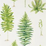 Tapet-Sanderson-Glasshouse-Fernery-Botanical-Green-3-1