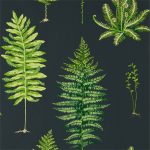 Wallpaper – Sanderson – Glasshouse – Fernery – Botanical Green/Charcoal
