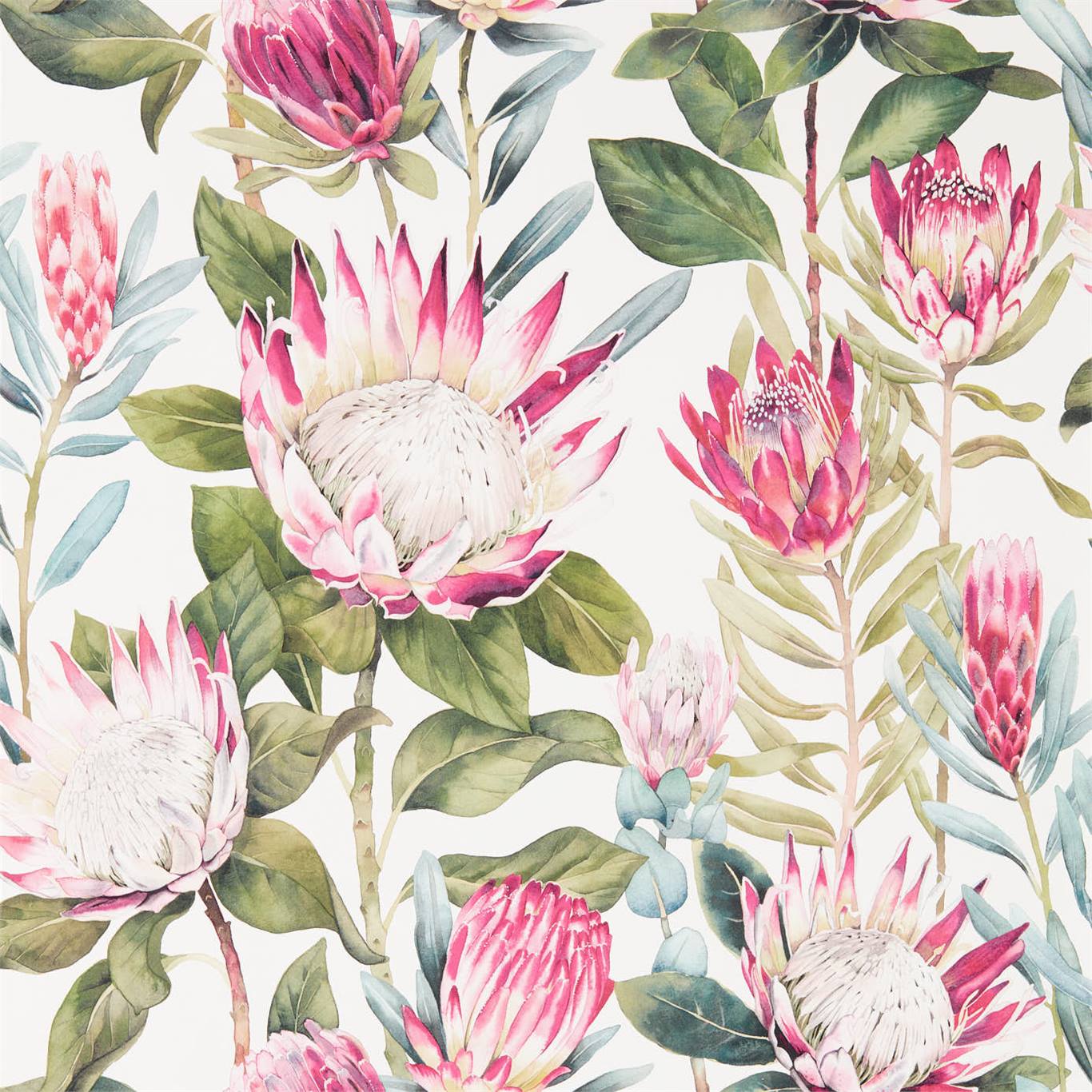 Wallpaper - Sanderson Glasshouse King Protea Rhodera/Cream