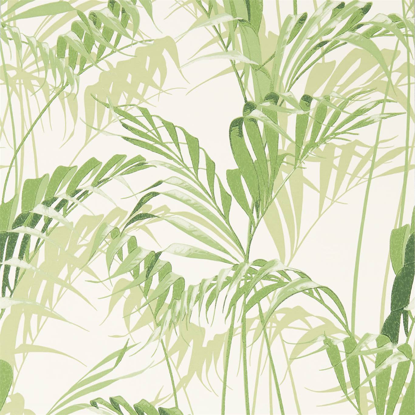 Wallpaper - Sanderson Glasshouse Palm House Botanical Green