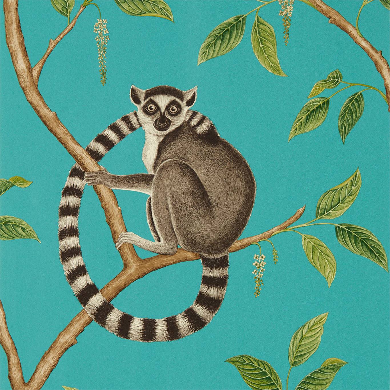 Wallpaper - Sanderson Glasshouse Ringtailed Lemur Teal