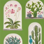 Wallpaper-Sanderson-Glasshouse-Terrariums-Botanical-GreenMulti-1-1