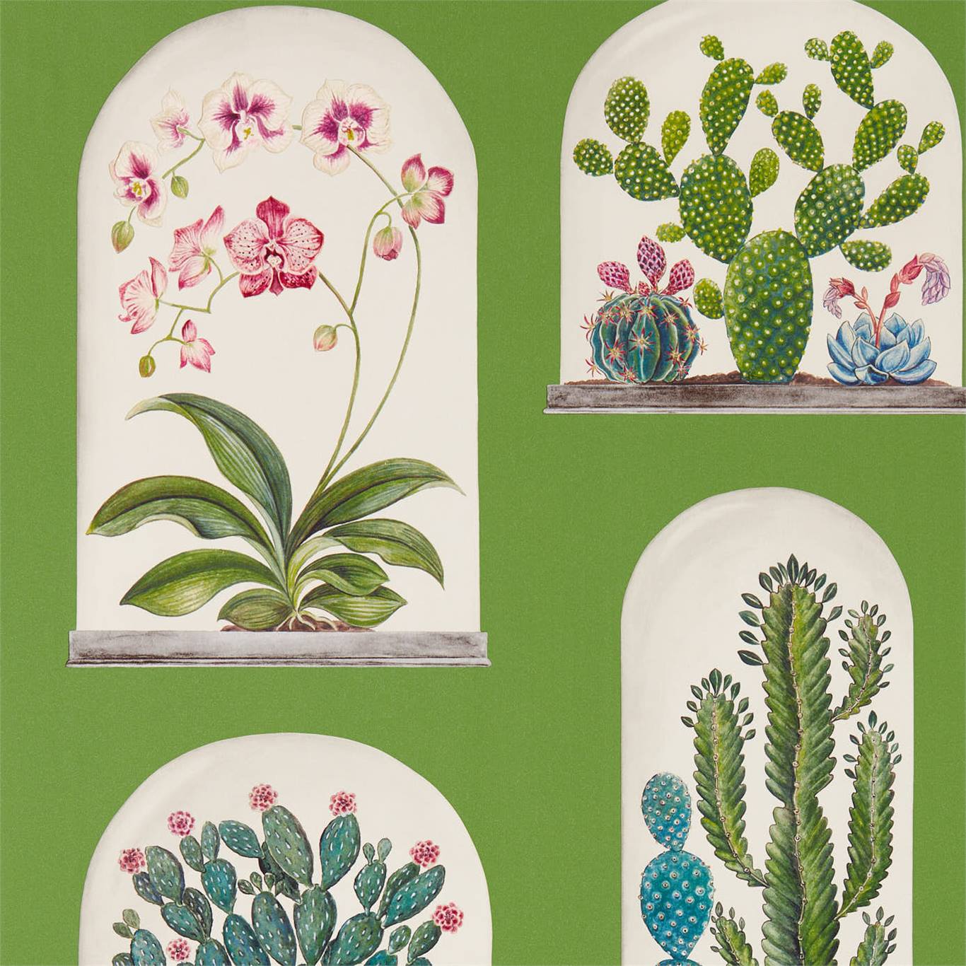 Wallpaper - Sanderson Glasshouse Terrariums Botanical Green/Multi