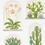 Tapet – Sanderson – Glasshouse – Terrariums