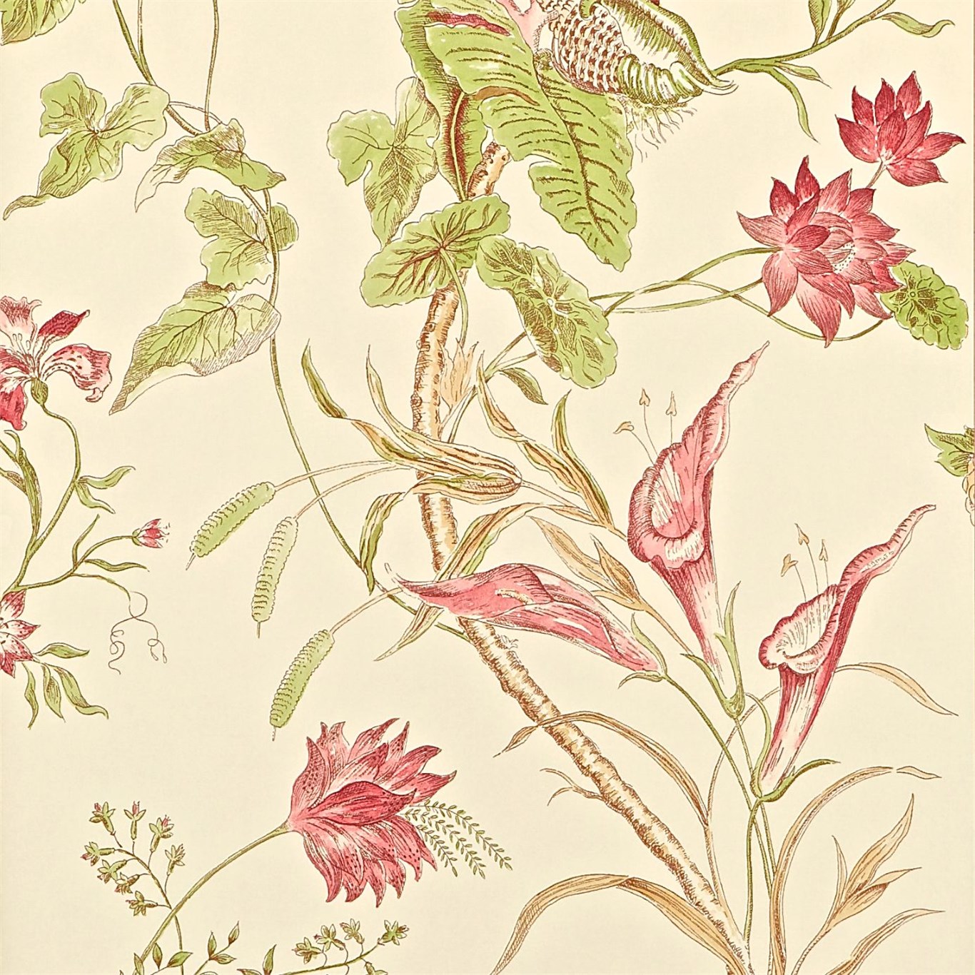 Tapet - Sanderson Caverley Wallpapers Mauritius Coral/Ivory