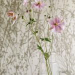 Wallpaper-Sanderson-Meadow-Canvas-GilverLinen-3