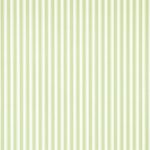 Wallpaper – Sanderson – Caverley – New Tiger Stripe – Leaf Green/Ivory