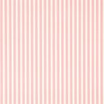 Wallpaper – Sanderson – Caverley – New Tiger Stripe – Rose/Ivory