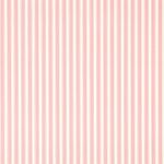 Tapet – Sanderson – Caverley – New Tiger Stripe – Rose/Ivory