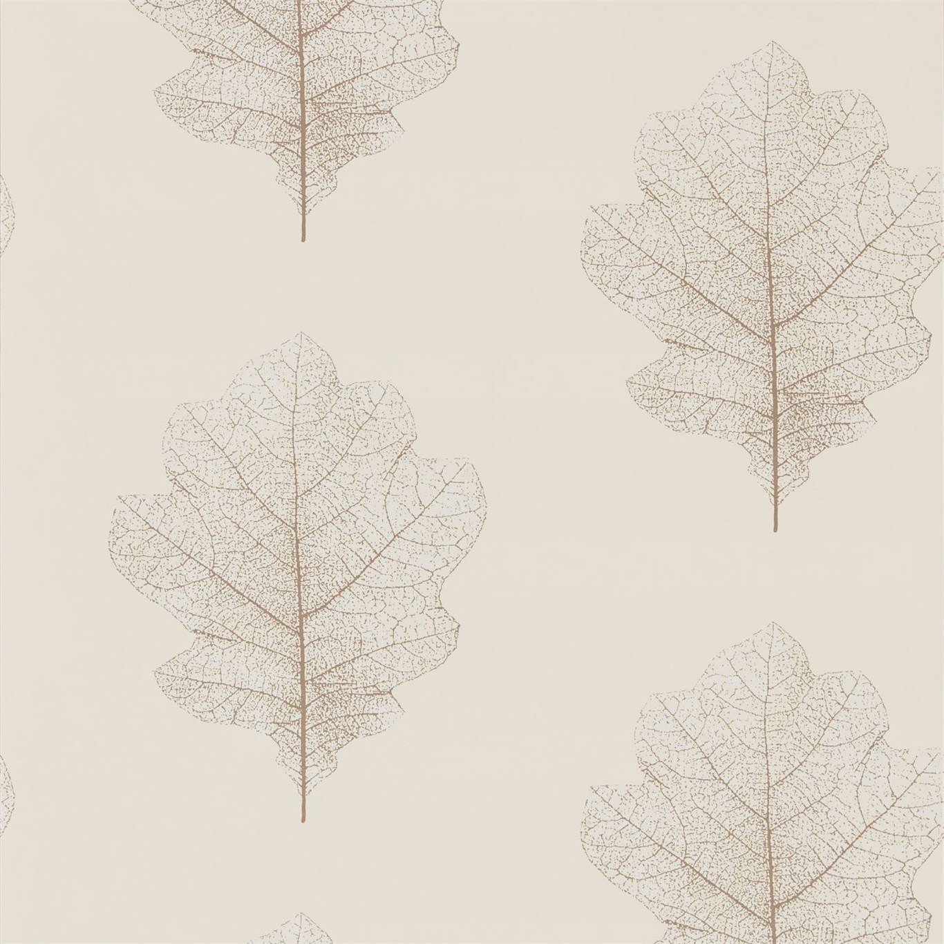Wallpaper - Sanderson Woodland Walk Wallpapers Oak Filigree Milk/Pearl