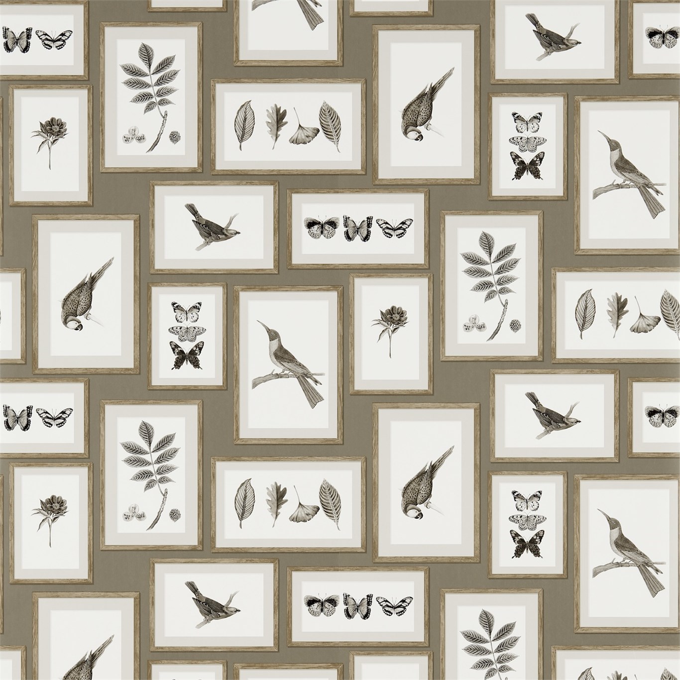 Wallpaper - Sanderson Voyage of Discovery Picture Gallery Taupe/Sepia