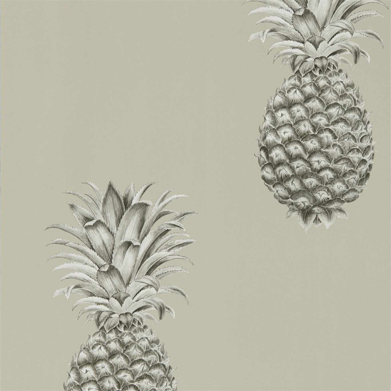 Tapet - Sanderson Art of the Garden Pineapple Royale Charcoal/Champagne