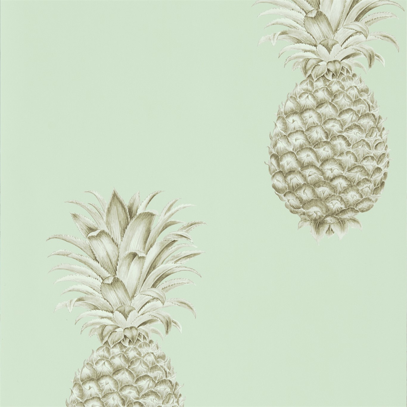 Tapet - Sanderson Art of the Garden Pineapple Royale Porcelain/Sepia