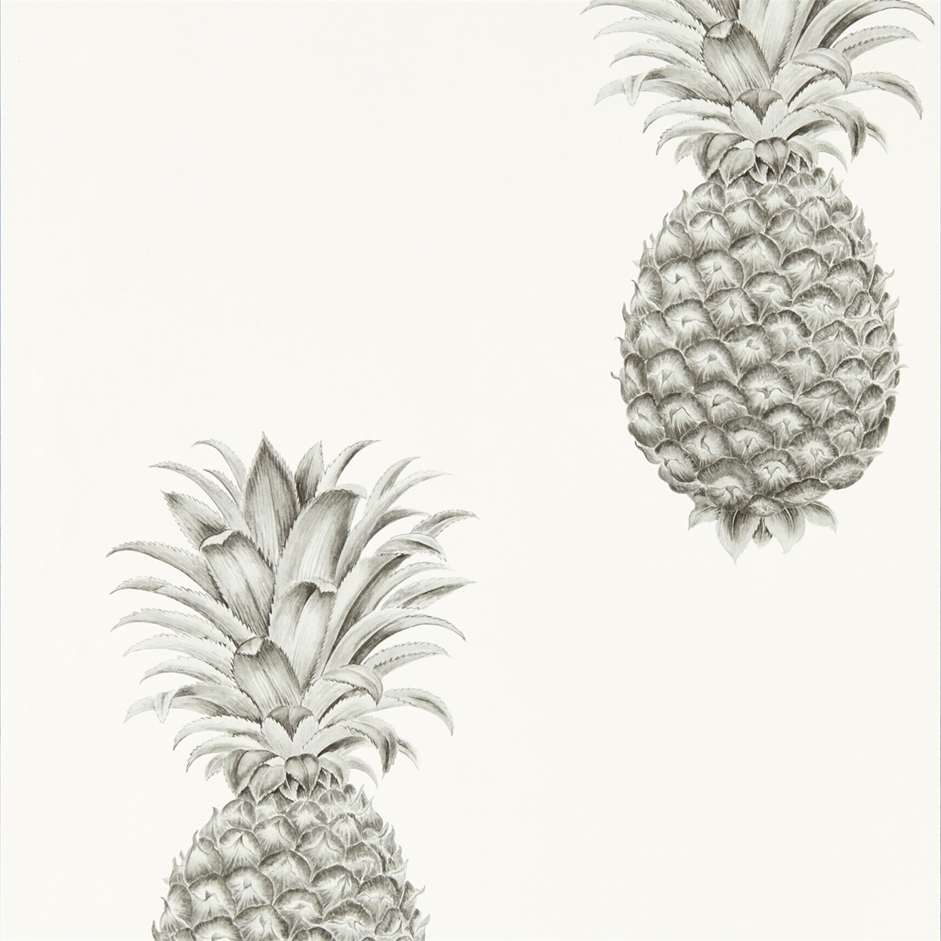 Wallpaper - Sanderson Art of the Garden Pineapple Royale Silver/Ivory
