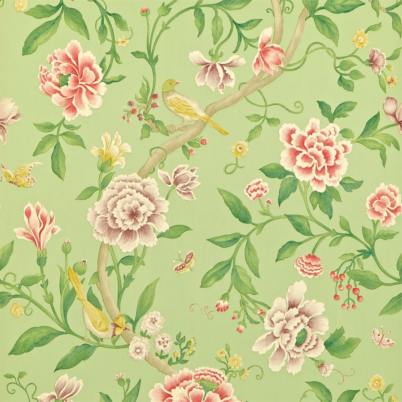 Wallpaper - Sanderson Caverley Wallpapers Porcelain Garden Rose/Fennel