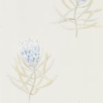 Wallpaper – Sanderson – Art of the Garden – Protea Flower – China Blue/Canvas