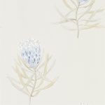 Tapet - Sanderson Art of the Garden Protea Flower China Blue/Canvas