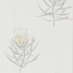 Wallpaper – Sanderson – Art of the Garden – Protea Flower – Daffodil/Natural