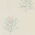 Wallpaper-Sanderson-Protea-Flower-RussetGreen-1