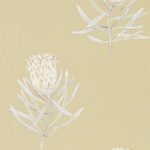 Wallpaper – Sanderson – Art of the Garden – Protea Flower – Sepia/Champagne