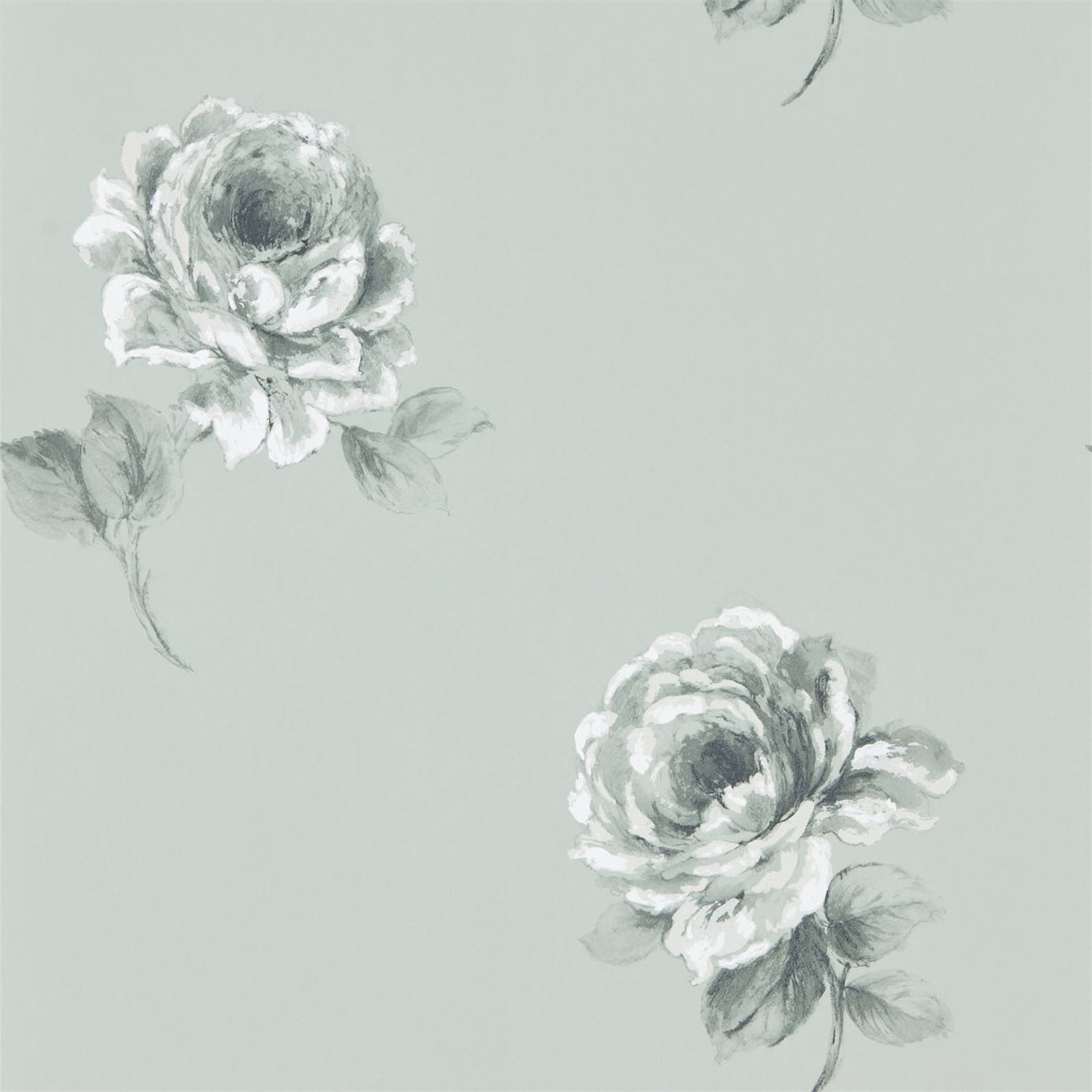 Wallpaper - Sanderson Waterperry Wallpaper Rosa Mint