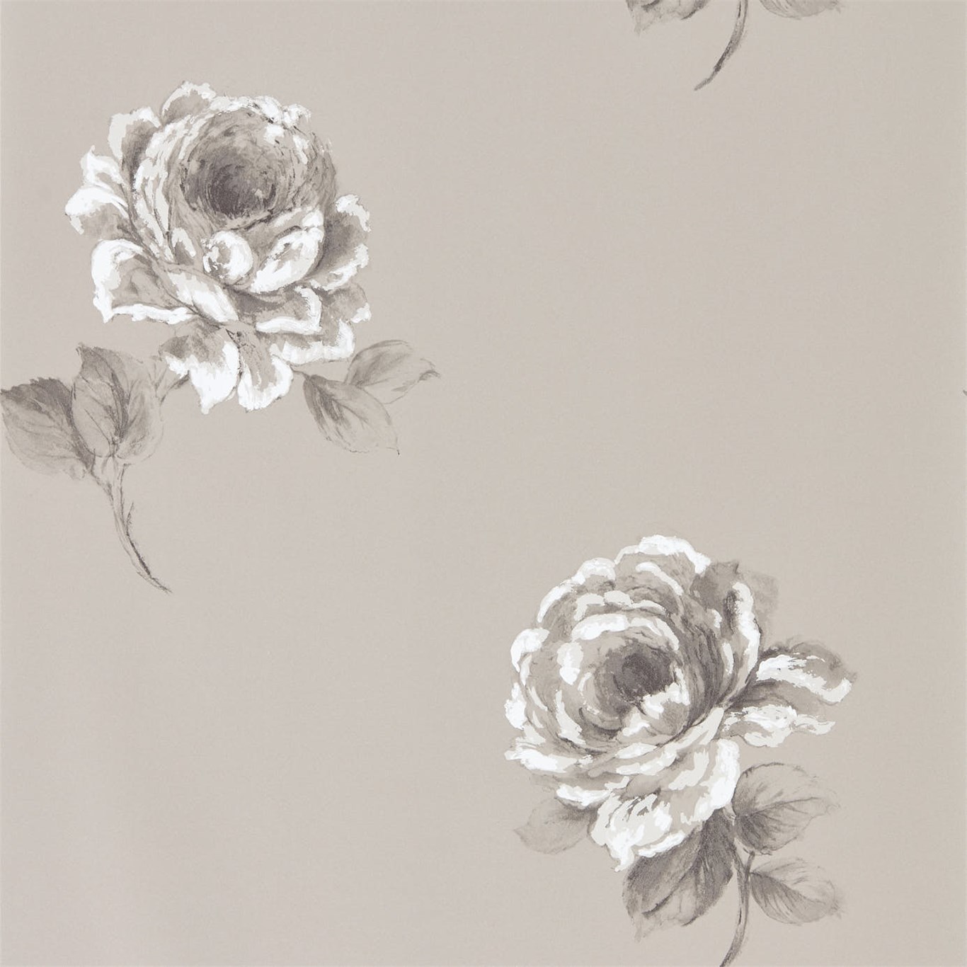 Wallpaper - Sanderson Waterperry Wallpaper Rosa Silver