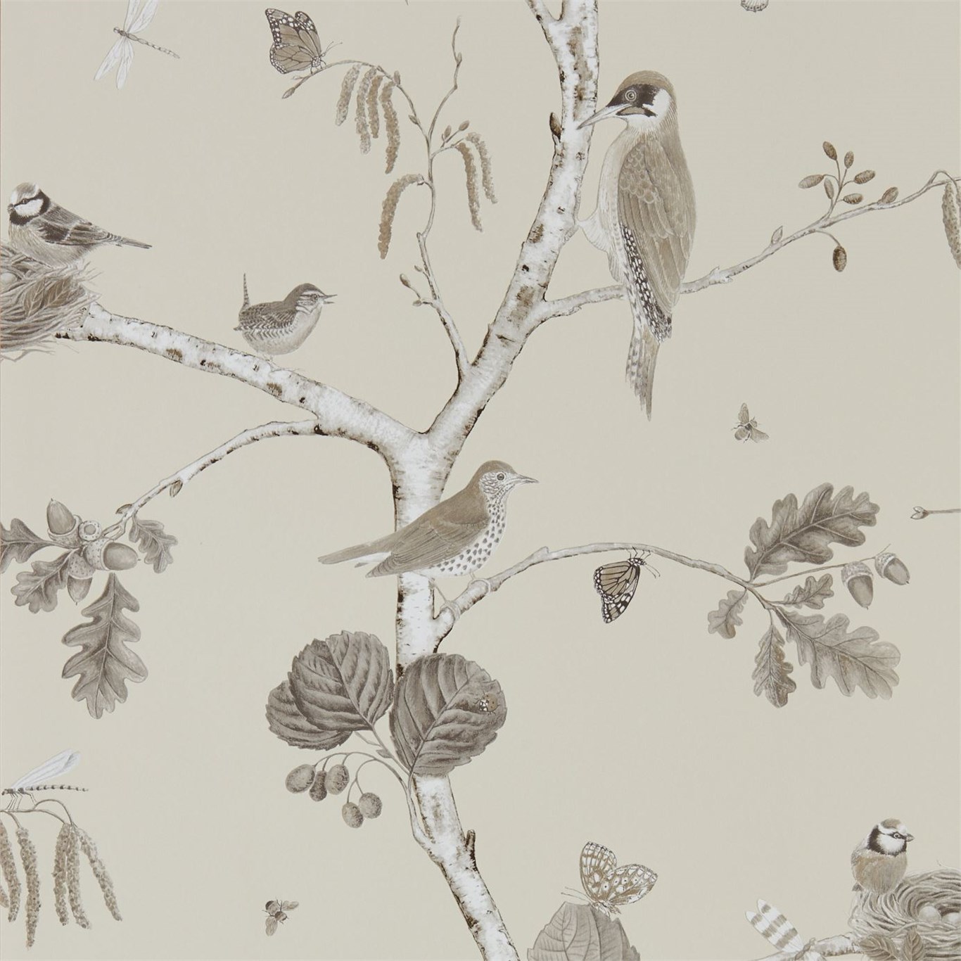 Tapet - Sanderson Woodland Walk Wallpapers Woodland Chorus Sepia/Neutral