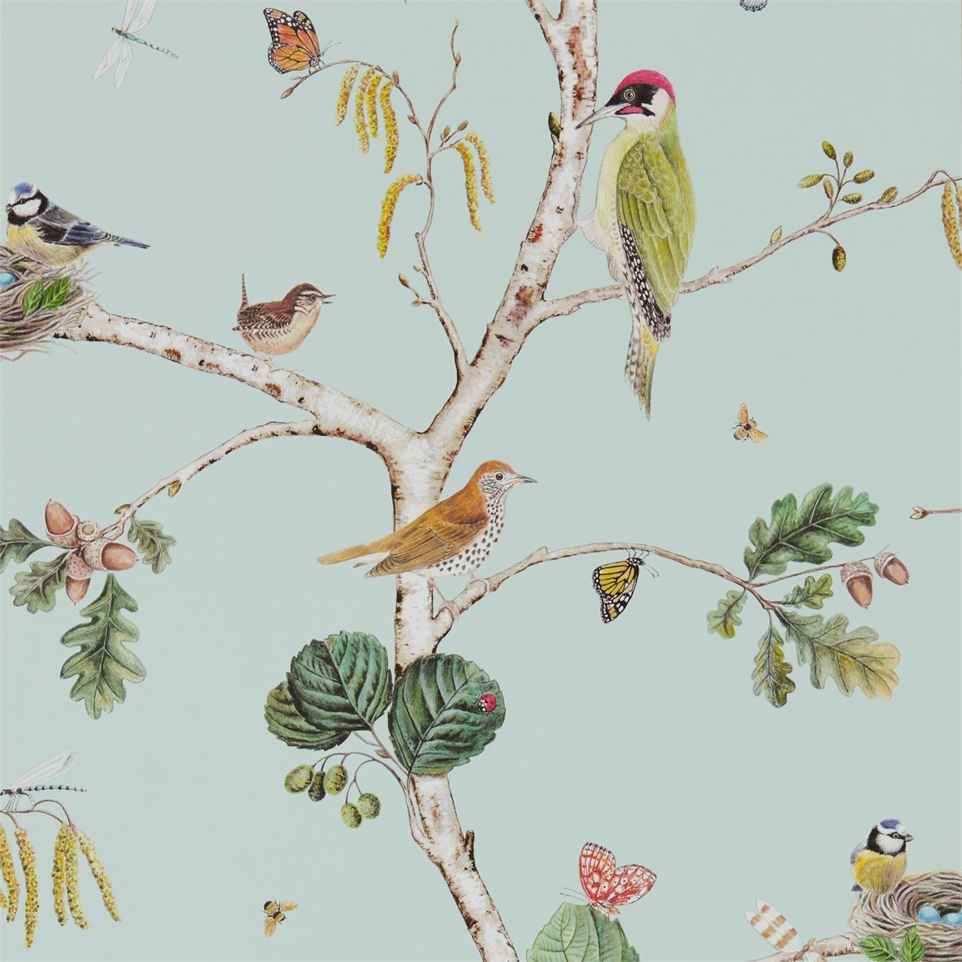 Tapet - Sanderson Woodland Walk Wallpapers Woodland Chorus Sky Blue/Multi