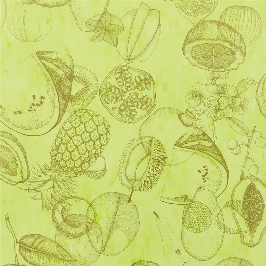 Tapet Christian Lacroix Nouveaux Mondes WALLPAPER Agua Parati - Lime Wallpaper