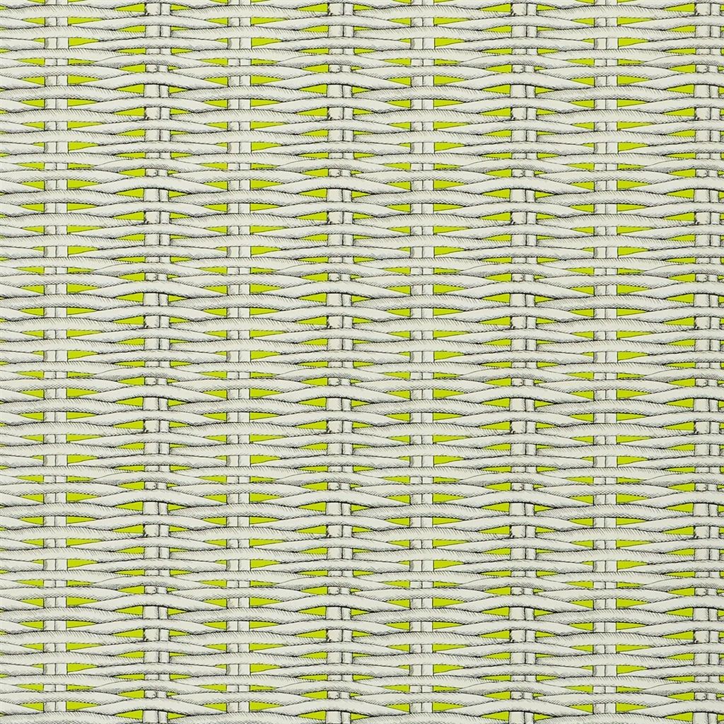 Wallpaper Christian Lacroix Nouveaux Mondes WALLPAPER Barbade - Lime Wallpaper