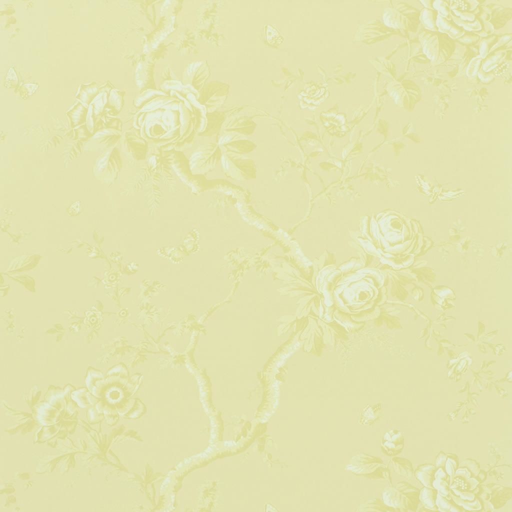 Wallpaper Ralph Lauren Signature Papers III Wallpaper Ashfield Floral - Alabaster