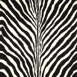 Wallpaper – Ralph Lauren – BARTLETT ZEBRA – Charcoal